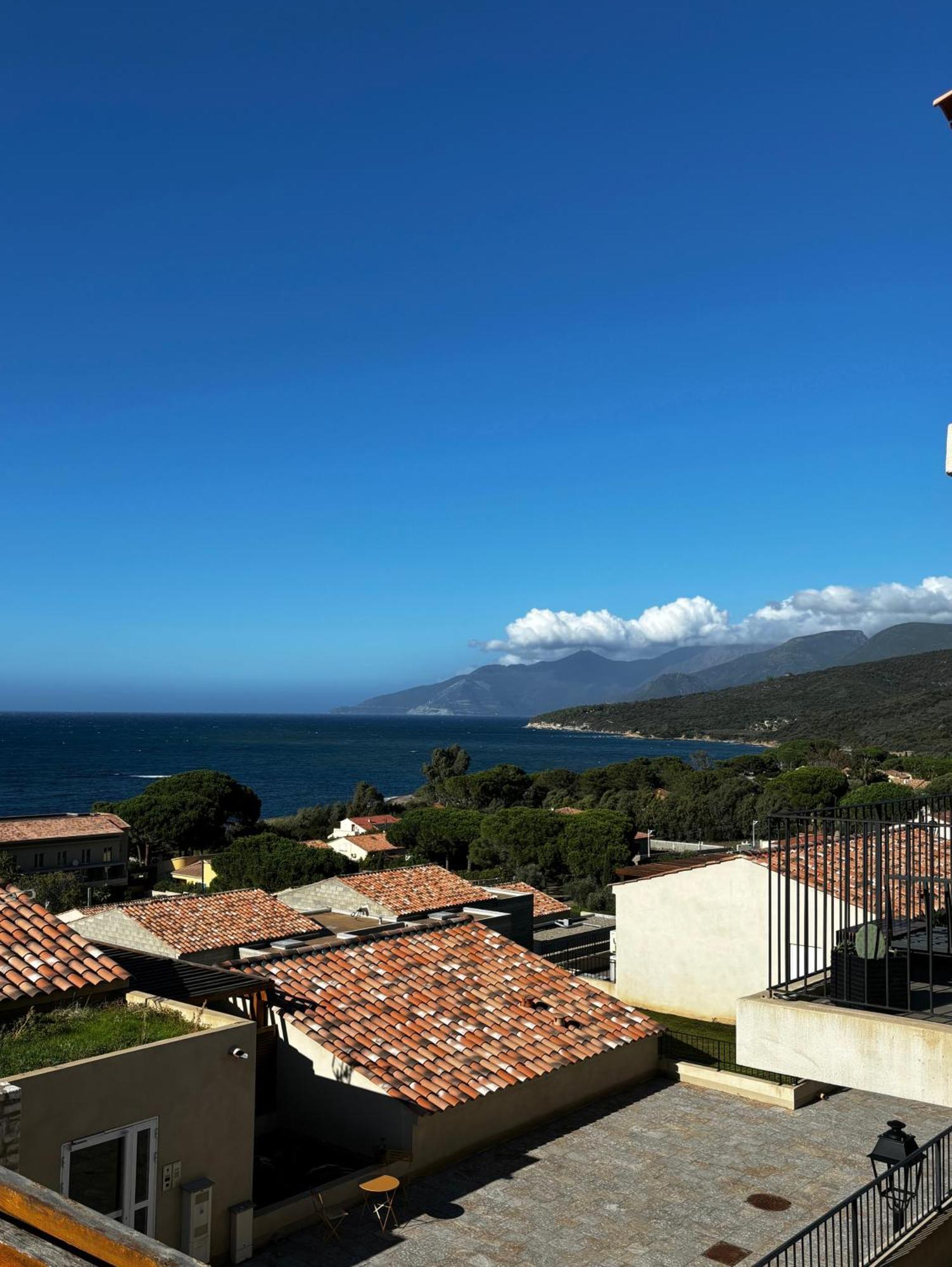 Appartement Aloes T3